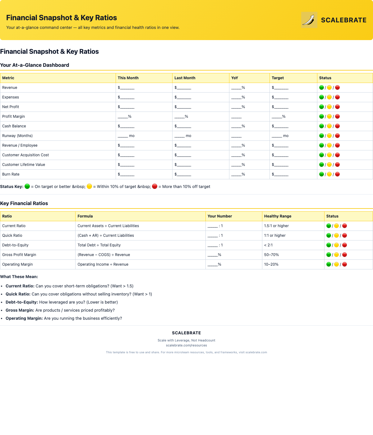 Preview of the Financial Snapshot Dashboard